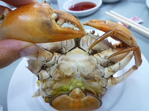 香港海鲜加工_海鲜机器加工流程图_海鲜火锅