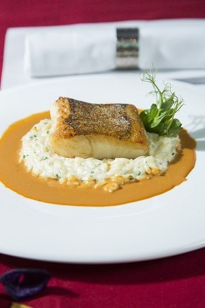 Pan-fried Halibut, Parmesan Orzo Risotto, Pea Shoots and Reduced Lobster Sauce