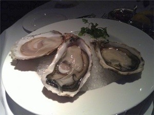<strong>Ambrosia Oyster Bar & Grill</strong><br><a href="http://www.openrice.com/restaurant/commentdetail.htm?commentid=2137885">史馬田</a>：一黎先試蠔，款式其實唔少，不過初試都係小試三款法國，Roumegours，White Pearl同埋Belon， Belon印象最深，好似係四個隆隆，size剛好，唔會太大，夠哂咬口，夠哂肥美，Roumegous幾creamy下，White Pearl就夠鮮，不過未係鮮甜。以蠔吧計，這裡很不錯。