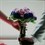 sze2468